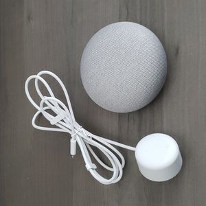 Google Home Mini 1st Generation